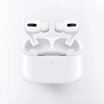Apple Earbuds