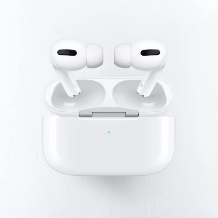 Apple Earbuds